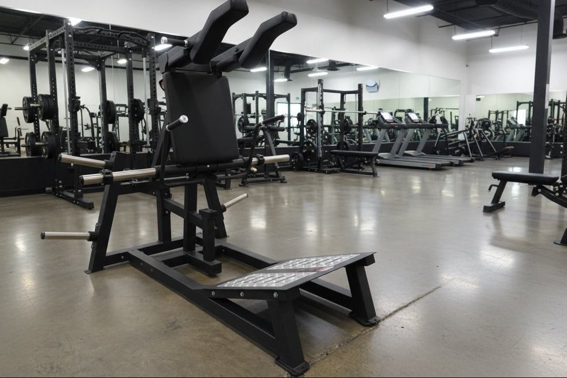 SFE Plate-Loaded V-Squat Machine